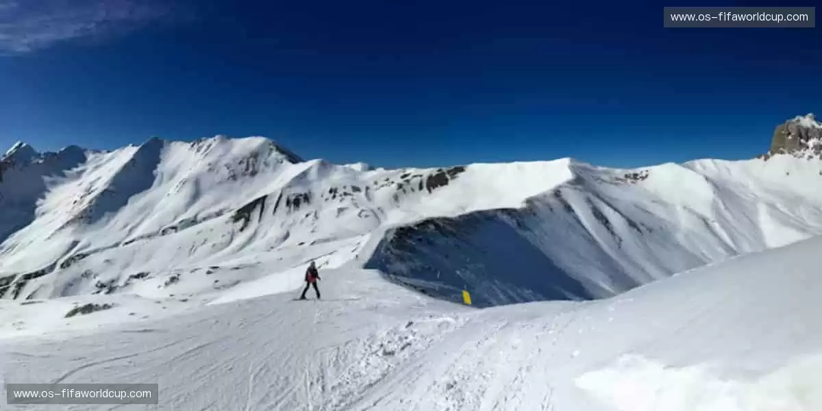 🎙️深度解读,冠军之路!🏆揭秘赛场背后的热血与汗水!